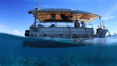 Glass Bottom Boat Tours - Lady Elliot Island Eco Resort Great Barrier Reef