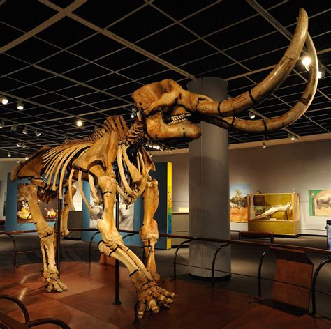 Hands-on Learning and Discovery in Pennsylvania | Museum, Pennsylvania ...