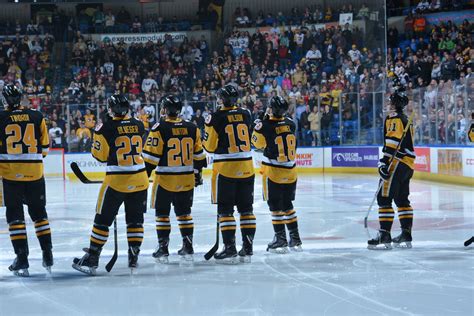 DSC_5911 | Wilkes-Barre/Scranton Penguins | Flickr