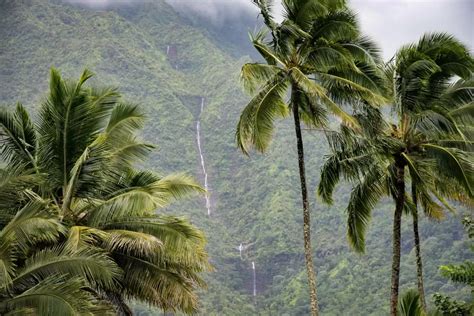 Best Waterfalls to See on Kauai