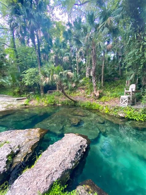 Tips For Kelly Park/Rock Springs: The Perfect Florida Oasis - Florida ...