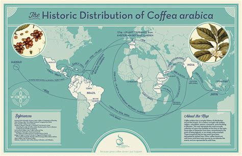 History: the spread of coffee in the world – Coffee Geek