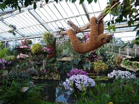 15 Photos Of The Fantastically Colourful Kew Gardens Orchid Festival 2019 | Londonist