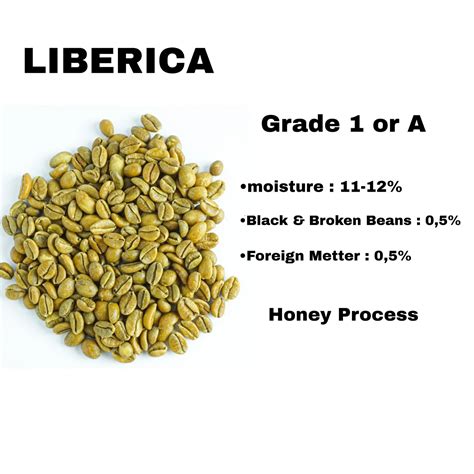 Buy Liberica Coffee Beans Grade 1 Or A from PT.Panda Alam Asia ...