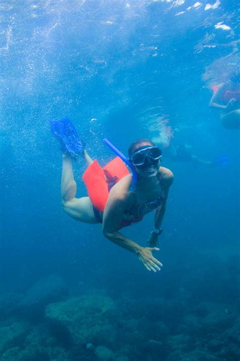 Snorkel at Marietas Islands | Snorkeling, Island tour, Marieta islands