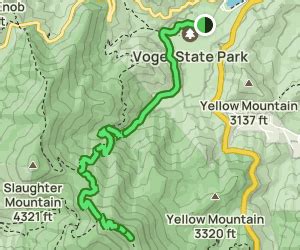 Vogel State Park to Blood Mountain: 584 Reviews, Map - Georgia | AllTrails