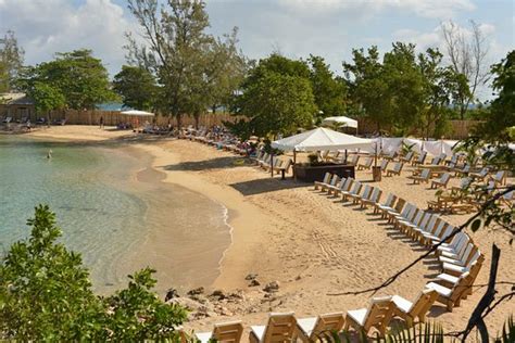 TripAdvisor | Bamboo Beach Club Day Pass provided by Bamboo Beach Club | Jamaica, Caribbean