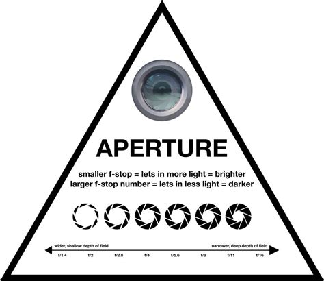 A Complete Beginner’s Guide to Understanding Aperture, Shutter Speed ...