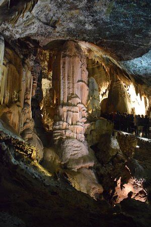 Postojna Cave: UPDATED 2020 All You Need to Know Before You Go (with PHOTOS)