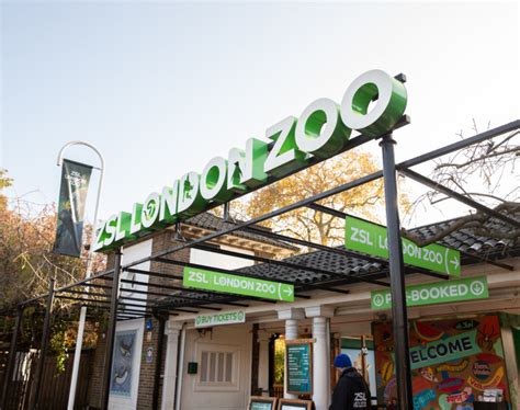 Celebrate the Zoobilee at ZSL London Zoo