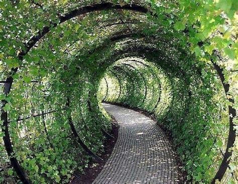 Imagine walking with some one you love 🌹😘 inside this garden tunnel 😍😍😍 ...