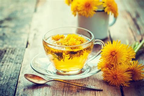 Dandelion Tea For Weight Loss