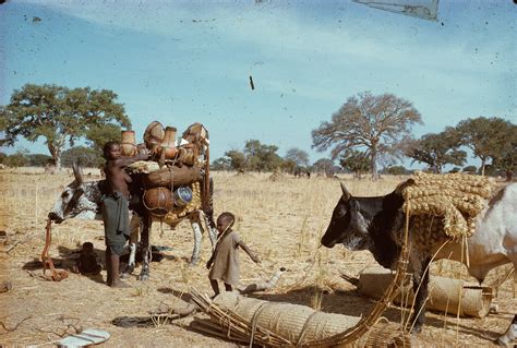 Ethnic Groups « Darfur Before