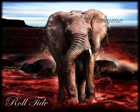 Alabama Crimson Tide Wallpaper HD - WallpaperSafari