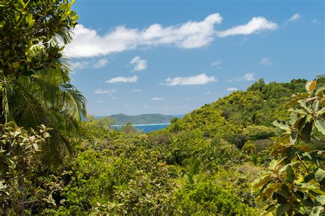 The Most Amazing Hiking Trails In Seychelles