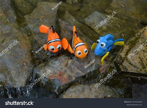 Nemo Cartoon: Over 301 Royalty-Free Licensable Stock Photos | Shutterstock