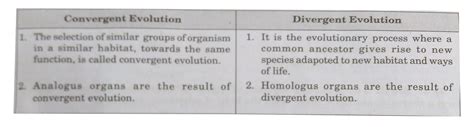 Convergent Evolution Vs Divergent Evolution