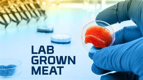 Lab Grown Meat - YouTube