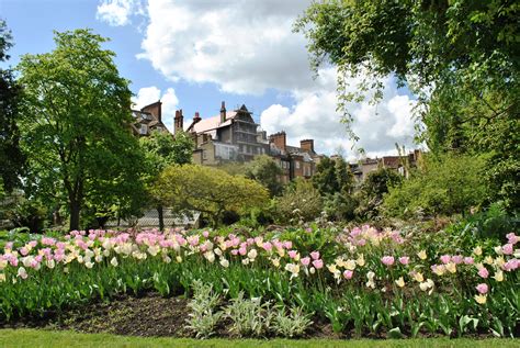 File:II Chelsea Physic Garden, London, UK.jpg - Wikimedia Commons