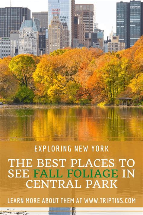 the best places to see fall foliage in central park, new york with text overlay