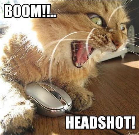 [Image - 7653] | Boom Headshot! | Know Your Meme