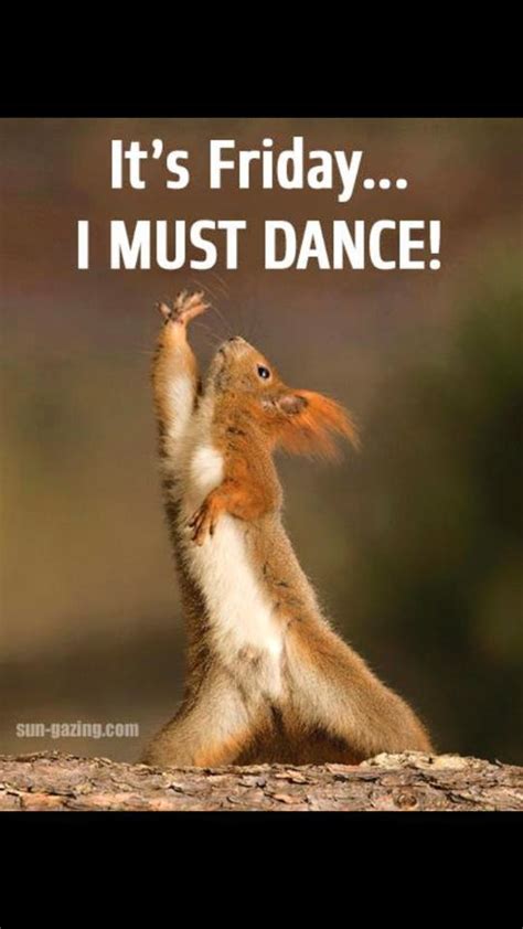 CityDance Belfast on Twitter: "It's Friday. I must dance! http://t.co ...