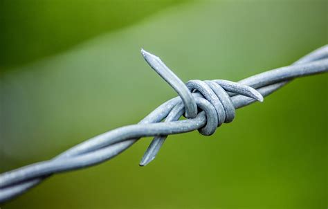 HD wallpaper: barbed wire, barb wire, metal, boundary, pointed ...