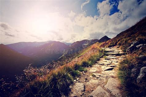 Dark mountains landscape. stock image. Image of green - 64793471