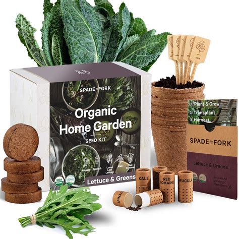 Amazon.com : Organic Indoor Lettuce & Greens Garden Starter Kit - Certified USDA Organic Non GMO ...