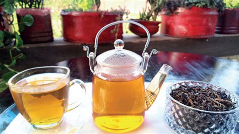 Yellow tea produced for first time | The Daily Star