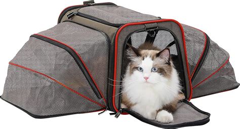 Buy Petsfit Expandable Large Cat Carrier Small Dog Carriers, Airline ...