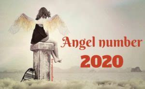 2020 Angel Number – Meaning and Symbolism