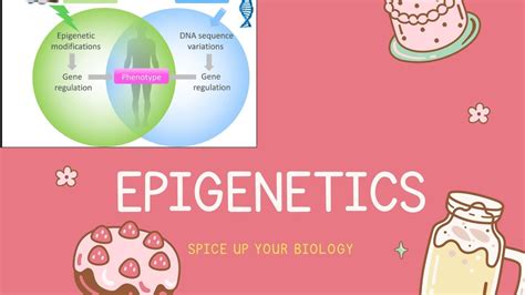 Epigenetics: Effect of environment on gene expression #NET - YouTube