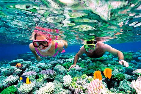 Riviera Maya Snorkeling the perfect Cancun Snorkeling Adventure Tour