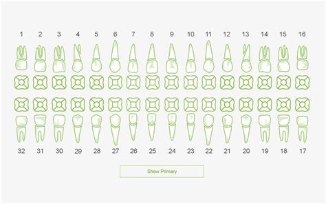 Dental Chart APK for Android Download