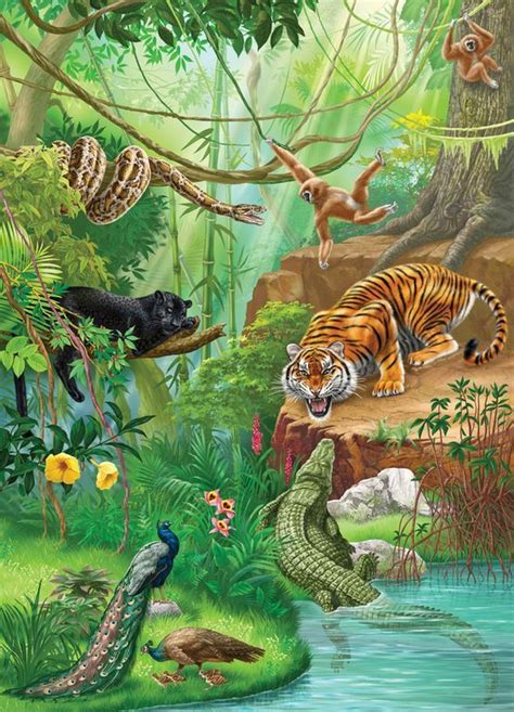 Drawing Of Jungle With Animals - Drawing Word Searches