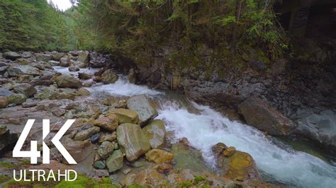 River Rocks - 4K Nature Sounds and Views of River and Roks | ProArtInc