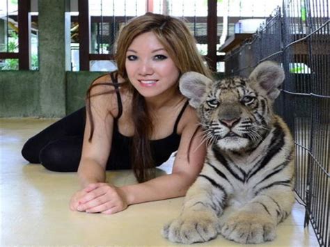 Visit the Tiger Kingdom in Chiang Mai, Thailand