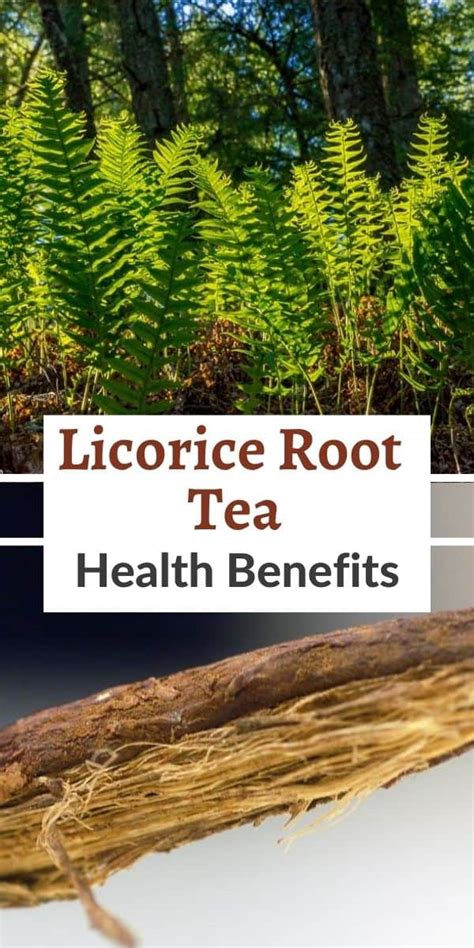 Licorice Root Tea Health Benefits and Side Effects