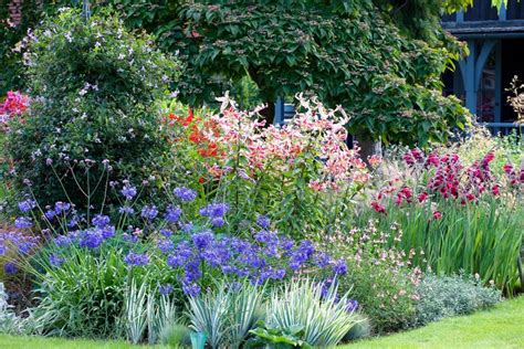 Best cottage garden plants: our top flowers for romantic borders | Gardeningetc