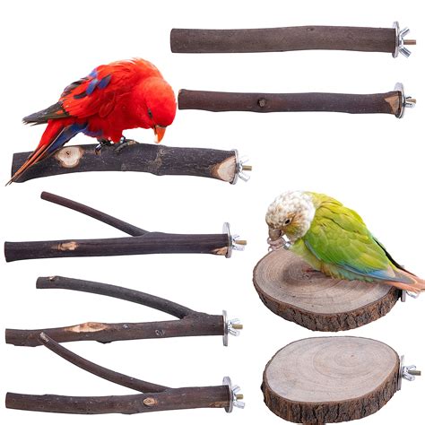 10 Best Cockatiel Bird Perches for Optimal Comfort and Health ...