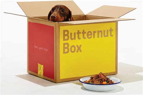 Give Your Dog the Nutrition it Needs with Butternut Box