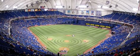 Cook & Son: Stadium Views: H.H.H. Metrodome