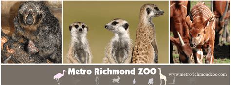 Metro Richmond Zoo - Enjoying RVA and all it has to offer!