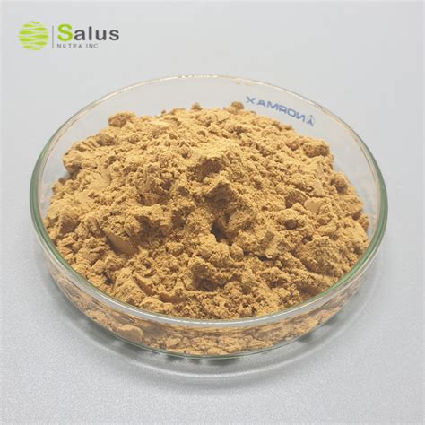 Angelica Sinensis Extract|SALUS NUTRA INC|SALUS NUTRA INC,one of the leading natural products ...