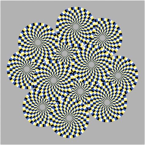 Optical Illusions Explained in a Fly's Eyes - Neuroscience News