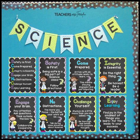 20 of the best science bulletin boards and classroom decor ideas – Artofit