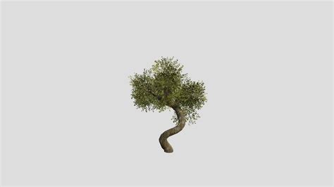 Tree Animation - Download Free 3D model by MatDesign3D [59eff9d] - Sketchfab