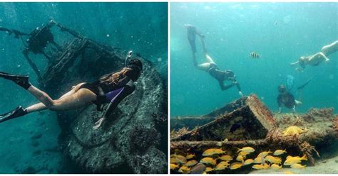 This 14-Acre Beach Park In South Florida Has A Hidden Snorkeling Trail ...