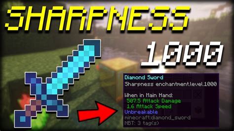 How To Get A Sharpness 1,000 Sword In Minecraft 1.17.1! (2024) - YouTube